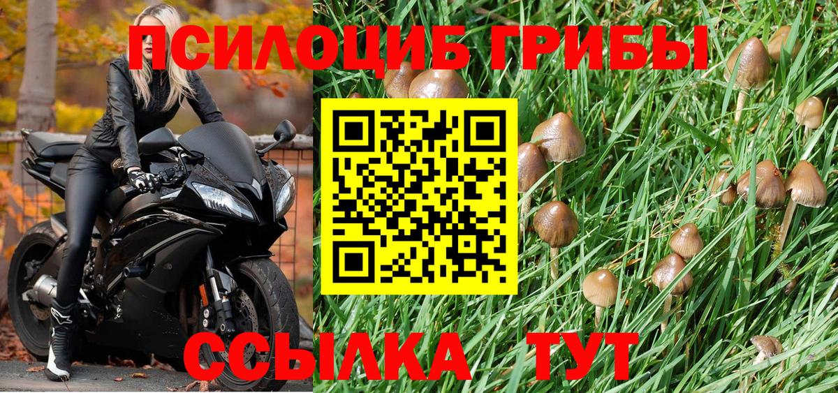 Псилоцибиновые грибы мухоморы Жуковский