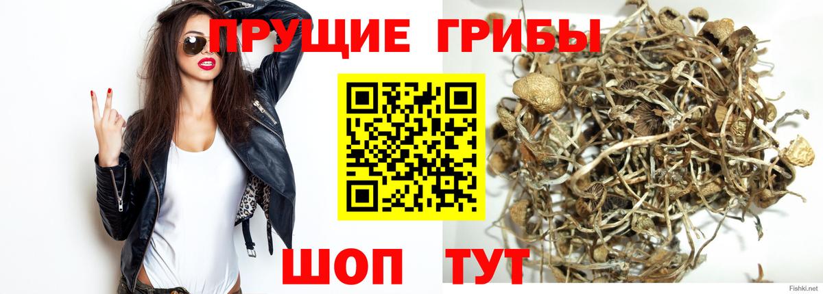 Псилоцибиновые грибы Magic Shrooms  Галлюциногенные грибы прущие грибы  Вход с VPN  Жуковский 